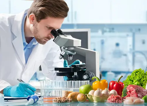Equipment sector at Global Food Pro