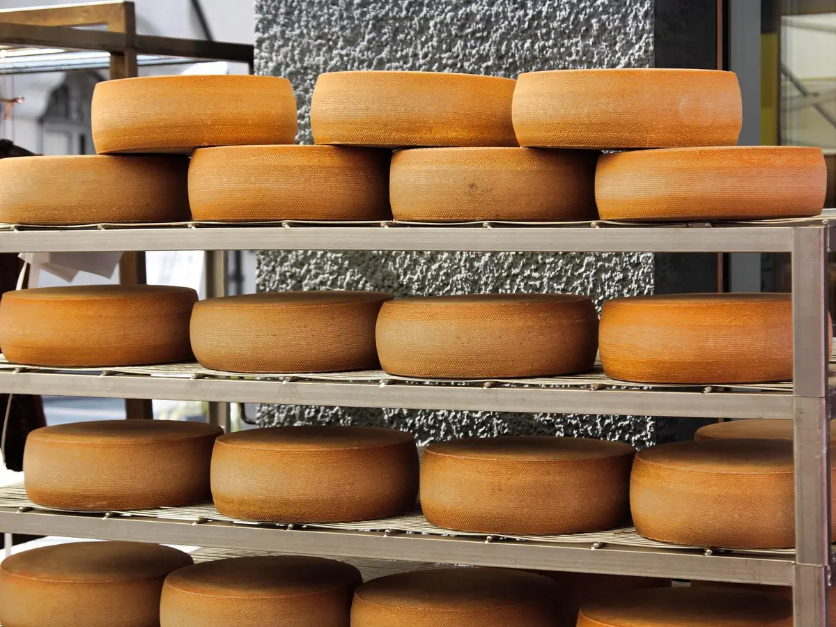 Dairy Products industry showcase 2