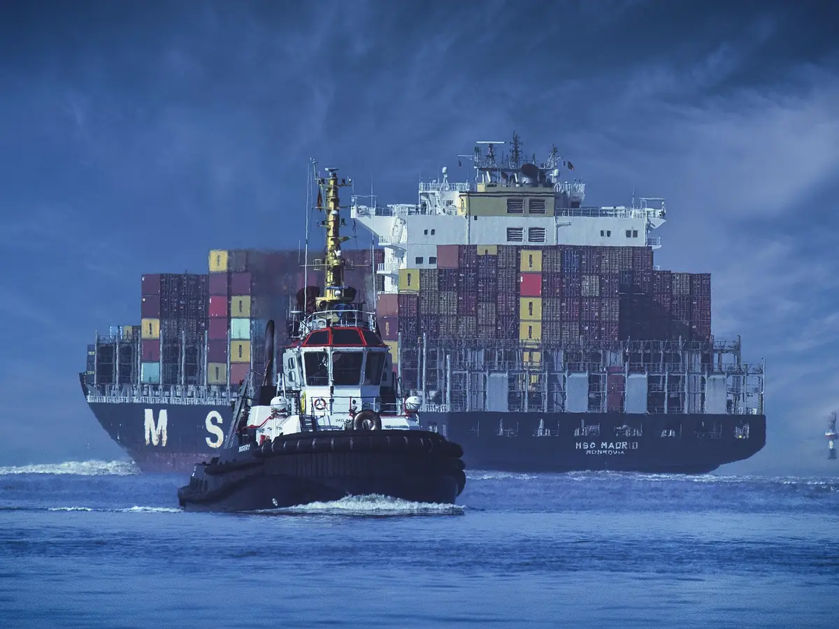 Import & Export industry showcase 3