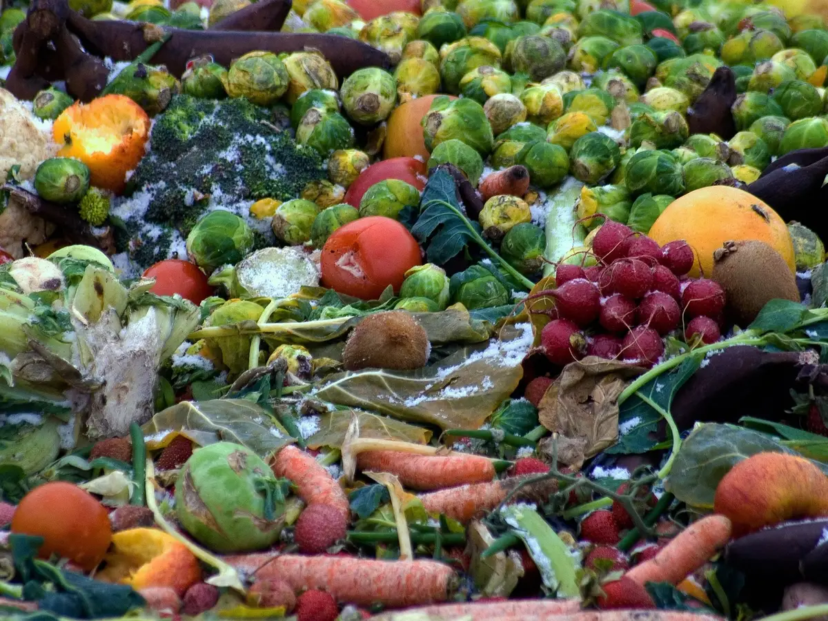Frozen Food industry showcase 1