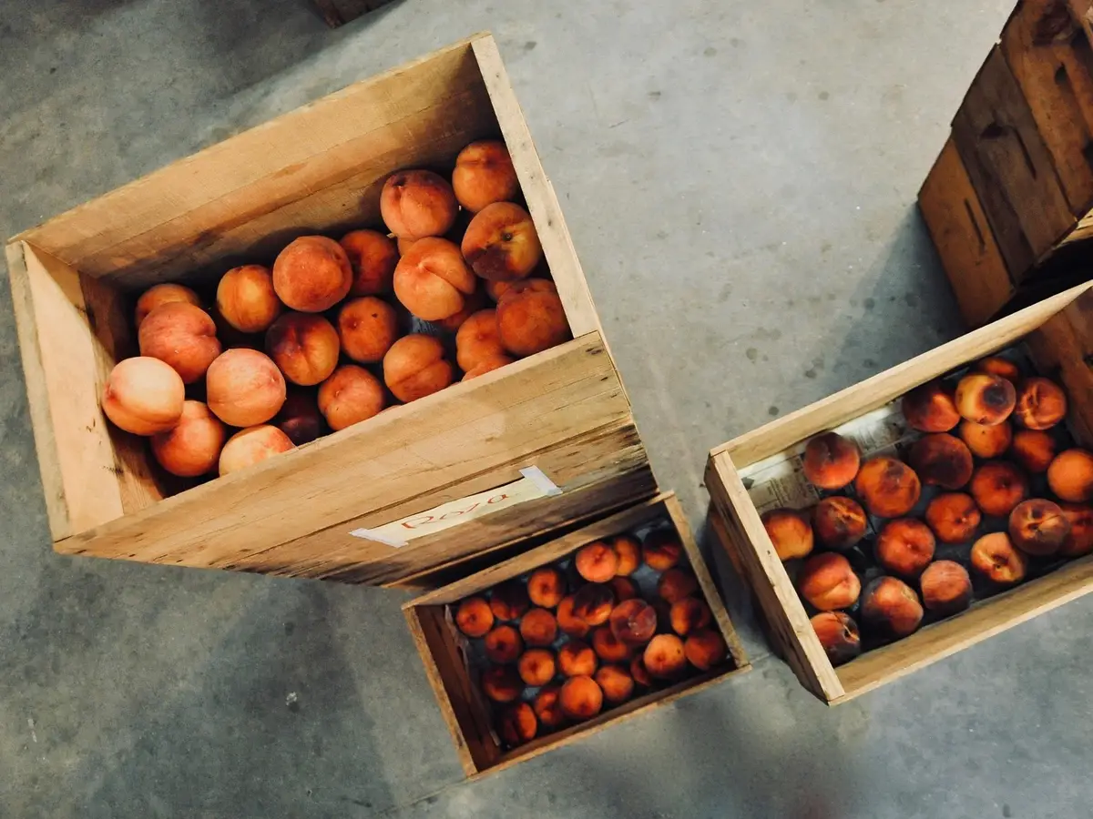 Vegetables & Fruit Processing industry showcase 2