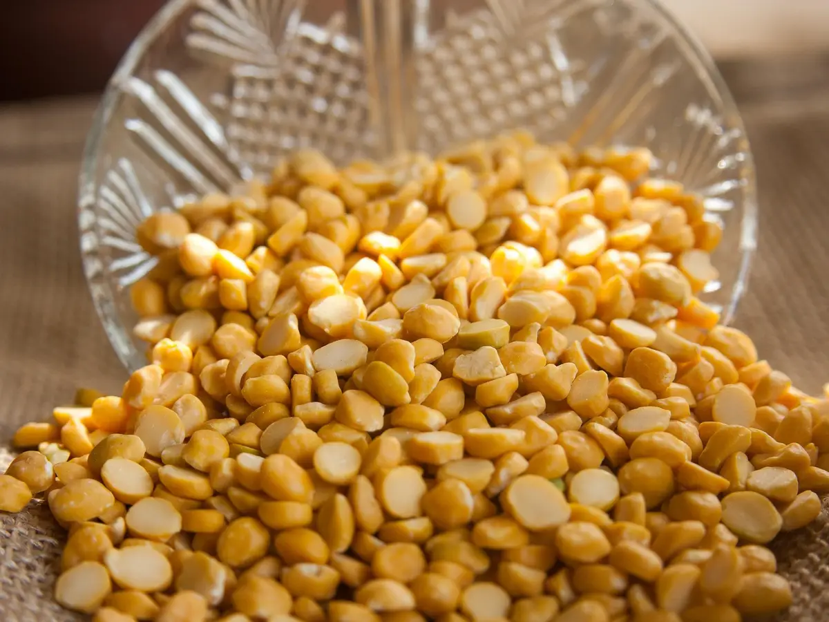 Millet & Pulses industry showcase 1