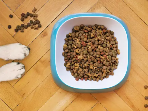 Pet food sector at Global Food Pro